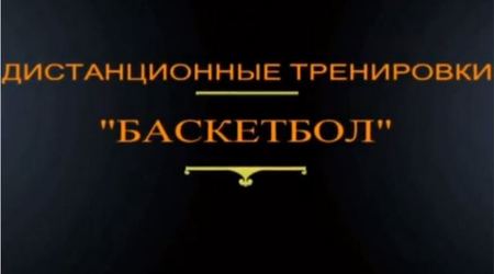 Баскетбол на «удалёнке»