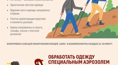 Клещи: как предотвратить нападение